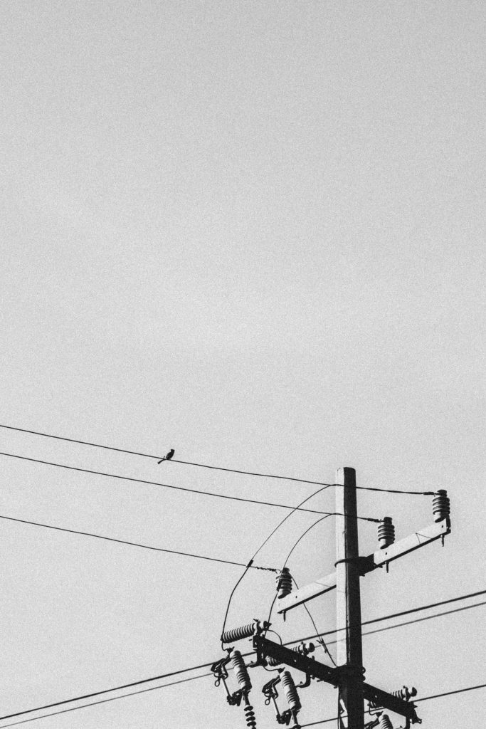 A minimalistic black and white photo of a bird sitting on power lines against a cloudy sky.
